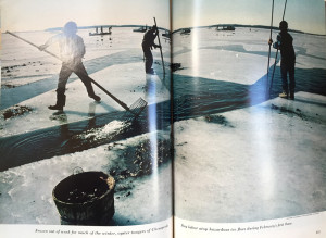 FrozenLake